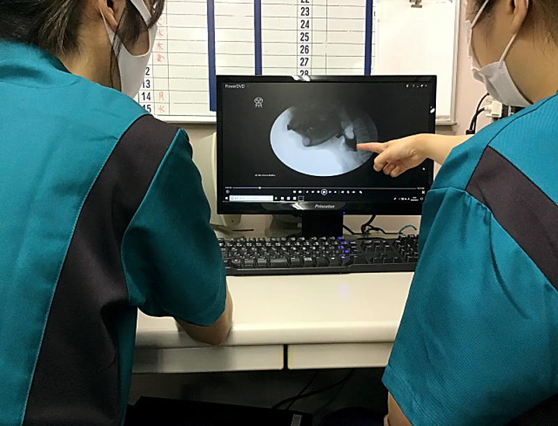 嚥下造影検査(VF)の様子